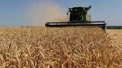 Белгородская область получит 3 млрд рублей на поддержку аграриев
