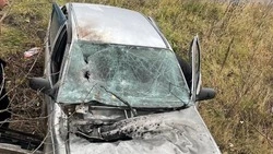 28 беспилотников ВСУ атаковали Белгородскую область за сутки