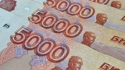 Более 1 600 жительниц Белгородской области получили региональный маткапитал в 2024 году