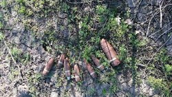Очевидец нашёл семь боеприпасов времён Великой Отечественной войны в Дальней Игуменке