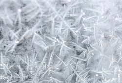 Мороз до 13 градусов ожидается на территории Белгородской области 20 декабря