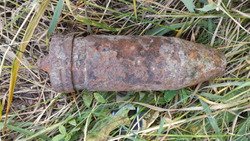 Очевидцы нашли боеприпас на обочине вдоль дороги в Корочанском районе
