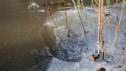 Комиссия ПДН призвала корочанских родителей обратить внимание на безопасность детей у воды
