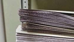 Распоряжение председателя муниципального совета Корочанского района от 7 августа 2025 года №201