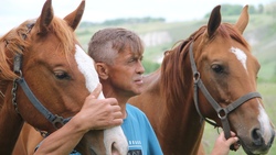 Василий Москаленко: «Держать коня и ухаживать за ним — это целая культура»