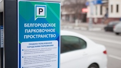 Белгородский Совет депутатов упростил правила пользования платными парковками