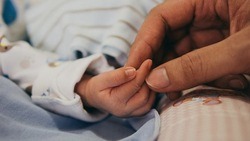Белгородские родители зарегистрировали онлайн более 560 новорождённых с начала года 