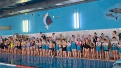 Второй этап Кубка Корочанского округа по плаванию прошёл в Бехтеевке