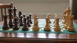 Белгородская шахматистка выиграла детский Кубок России