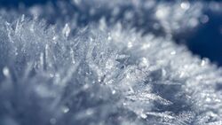 Столбик термометра опустится до 25 градусов мороза в Белгородской области 17 февраля