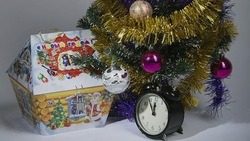 Белгородские школьники и воспитанники детских садов получат новогодние подарки в этом году