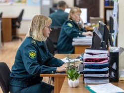 Мы начинали с нуля. Как появилась и развивалась новая структура