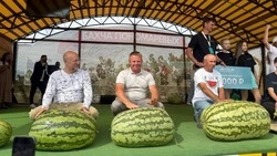 Арбуз из Корочанского района занял третье место в России по размеру