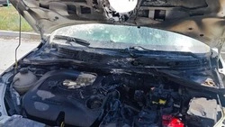 ВСУ выпустили более 50 беспилотников по Белгородской области за минувшие сутки