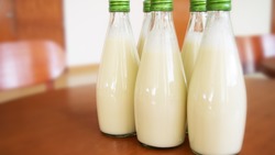 Регион вошёл в десятку лидеров рейтинга по среднесуточному надою молока