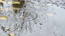 Комиссия ПДН призвала корочанских родителей обратить внимание на безопасность детей у воды