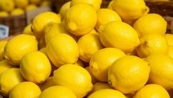 Основа долголетия. Правильное питание поможет продлить молодость