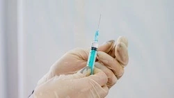 Первые выпускники медицинского класса Корочанского района рассказали об учёбе в вузах