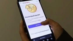 Корочанцы смогут оформить налоговый вычет на «Госуслугах»