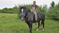 Покорные, но не покорённые. Виктор Аушев рассказал о разведении породистых лошадей