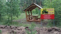 Противопожарный режим в Белгородской области продлён до 7 августа