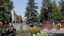 Озеленители вырубят в белгородском парке Победы 334 дерева