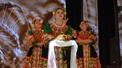 Творцы богатых урожаев. Корочанские аграрии подвели итоги сельскохозяйственного года