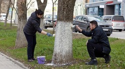 Вячеслав Гладков – о проведении месячника добровольного служения региону