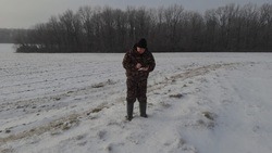 Зимний маршрутный учёт животных скоро завершится в Белгородской области
