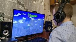 Социологическое агентство «Вебер» проанализировало отношение россиян к видеоиграм