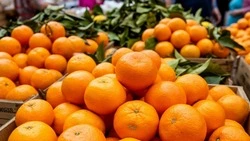 Продовольственная ярмарка пройдёт в Короче 22 ноября