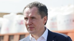 Гладков: Направили заявки четырёх шебекинских предприятий о включении в СЭЗ