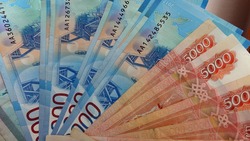 Предприятия-банкроты погасили 35,6 млн рублей задолженности по зарплате в 2019 году