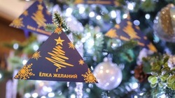 Вячеслав Гладков предложил провести «Ёлку желаний» для детей участников СВО