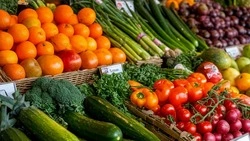 Сельскохозяйственная ярмарка пройдёт в Короче 11 октября