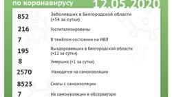 Более 850 случаев COVID-19 подтвердились у белгородцев с начала пандемии