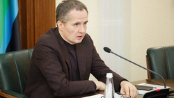 Вячеслав Гладков поручил рассмотреть план проведения субботников в каждом муниципалитете