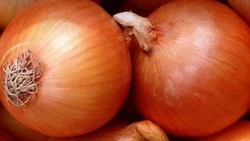 Вячеслав Гладков опубликовал список цен репчатый лук в Белгородской области