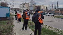 Программа «Трудоустройство несовершеннолетних» продолжила работу в Корочанском районе