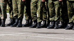 Белгородские власти займутся организацией полевой почты для передачи посылок военным