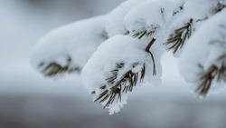 Порывы ветра до 21 м/с и снег ожидаются на территории Белгородской области 14 декабря 