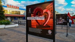 Аудиовизуальная инсталляция появилась Белгороде в память о теракте 30 декабря