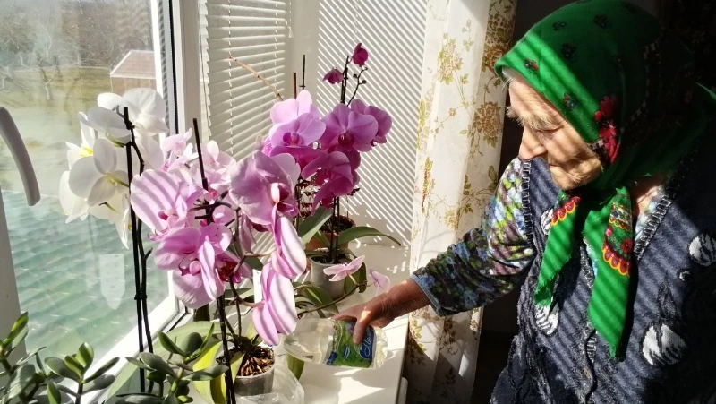 Война и труд сформировали характер Ульяны Антоненко