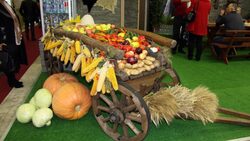 Белгородцы посетили межрегиональную аграрную выставку