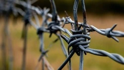 Жителя Новосибирской области осудили за попытку совершения теракта на Белгородчине