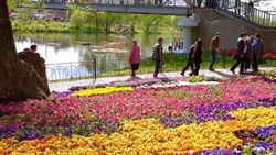 Корочанцы поучаствовали в фестивале «Река в цвету»