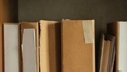 Заключение по результатам публичных слушаний с. Гремячье