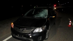 Автоледи насмерть задавила пешехода в Корочанском районе