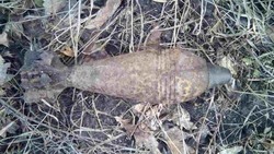 Корочанец нашёл миномётную мину в Алексеевке