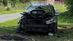 90 беспилотников ВСУ атаковали Белгородскую область за сутки